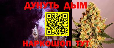 мдпв Новозыбков