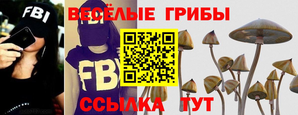Советская Гавань  Галлюциногенные грибы MAGIC MUSHROOMS  Вход с VPN  Галлюциногенные грибы прущие грибы 